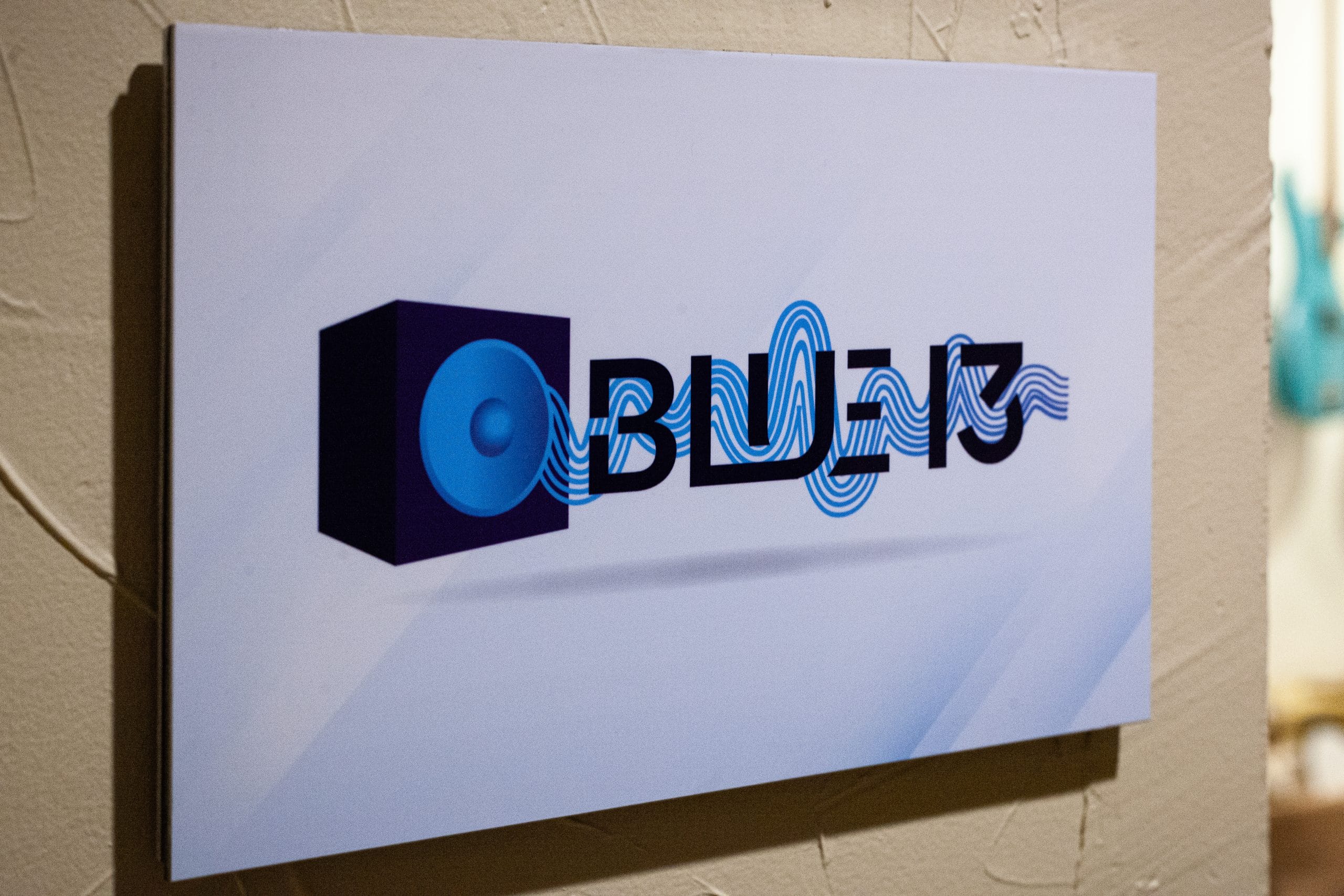 Blue 13 Productions